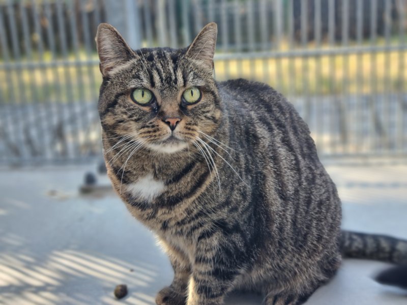 Mary